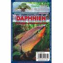 Wasserflöhe (Daphnia) aus Aquakultur, gefroren, Blister, 100g - Packung